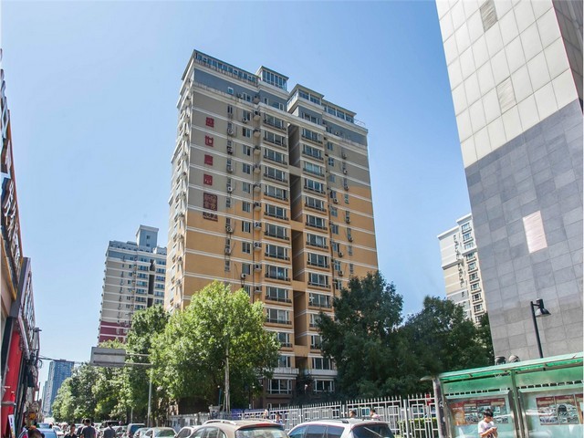 广东中型犬宠物服装定制加工